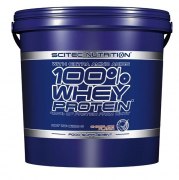 Заказать Scitec Nutrition 100% Whey 5000 гр