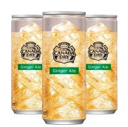 Заказать Canada Dry Ginger Ale 250 мл