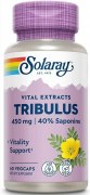 Заказать Solaray Tribulus Extract 450 мг 60 вег капс